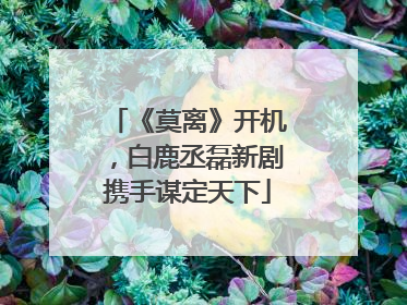 《莫离》开机，白鹿丞磊新剧携手谋定天下