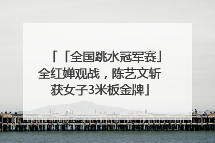 「全国跳水冠军赛」全红婵观战，陈艺文斩获女子3米板金牌