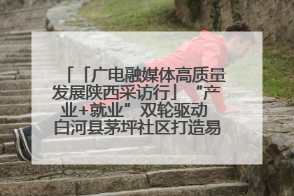 「广电融媒体高质量发展陕西采访行」“产业+就业”双轮驱动 白河县茅坪社区打造易地搬迁后扶新样本