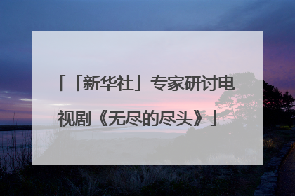 「新华社」专家研讨电视剧《无尽的尽头》