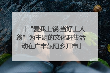“爱我上饶·当好主人翁”为主题的文化赶集活动在广丰东阳乡开市