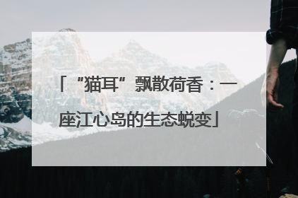 “猫耳”飘散荷香：一座江心岛的生态蜕变