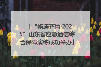 “畅通齐鲁·2025”山东省应急通信综合保障演练成功举办