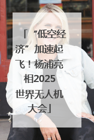 “低空经济”加速起飞！杨浦亮相2025世界无人机大会