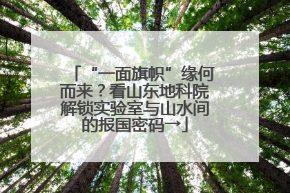 “一面旗帜”缘何而来？看山东地科院解锁实验室与山水间的报国密码→