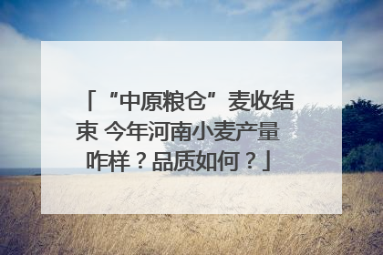 “中原粮仓”麦收结束 今年河南小麦产量咋样？品质如何？