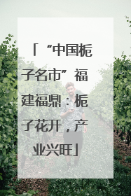 “中国栀子名市”福建福鼎：栀子花开，产业兴旺