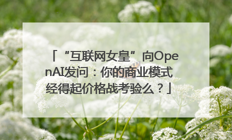 “互联网女皇”向OpenAI发问：你的商业模式经得起价格战考验么？