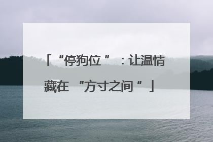 “停狗位 ”：让温情藏在 “方寸之间 ”