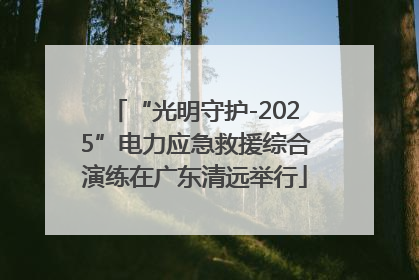 “光明守护-2025”电力应急救援综合演练在广东清远举行