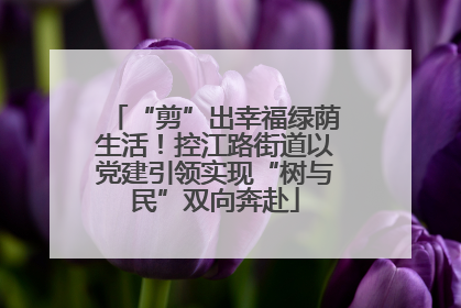 “剪”出幸福绿荫生活！控江路街道以党建引领实现“树与民”双向奔赴