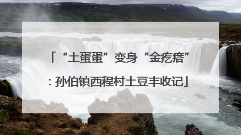 “土蛋蛋”变身“金疙瘩”：孙伯镇西程村土豆丰收记