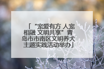 “宠爱有方 人宠相融 文明共享”青岛市市南区文明养犬主题实践活动举办