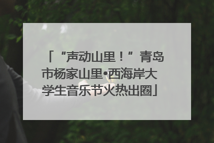 “声动山里！”青岛市杨家山里•西海岸大学生音乐节火热出圈