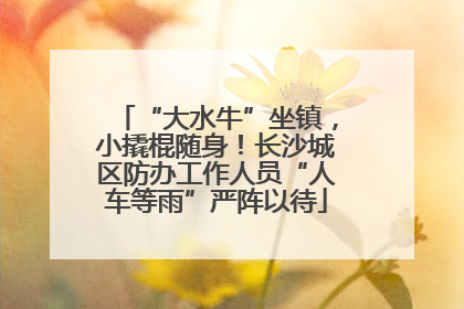 “大水牛”坐镇，小撬棍随身！长沙城区防办工作人员“人车等雨”严阵以待