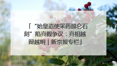 “始皇遣使采药昆仑石刻”陷真假争议：真相越辩越明｜新京报专栏
