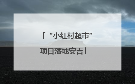 “小红村超市”项目落地安吉