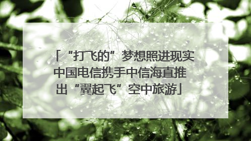 “打飞的”梦想照进现实 中国电信携手中信海直推出“翼起飞”空中旅游