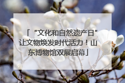 “文化和自然遗产日”让文物焕发时代活力！山东博物馆双展启幕