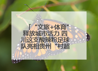“文旅+体育”释放城市活力 四川这支酸辣粉足球队亮相贵州“村超”后收到感谢信