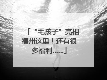 “毛孩子”亮相福州这里！还有很多福利……