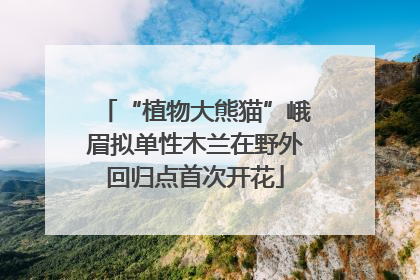 “植物大熊猫”峨眉拟单性木兰在野外回归点首次开花