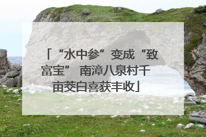 “水中参”变成“致富宝” 南漳八泉村千亩茭白喜获丰收
