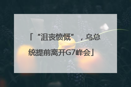 “沮丧愤慨”，乌总统提前离开G7峰会