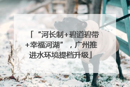 “河长制+碧道碧带+幸福河湖”，广州推进水环境提档升级