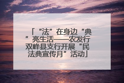 “法”在身边“典”亮生活——农发行双峰县支行开展“民法典宣传月”活动