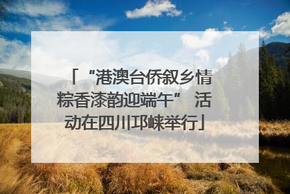 “港澳台侨叙乡情 粽香漆韵迎端午” 活动在四川邛崃举行