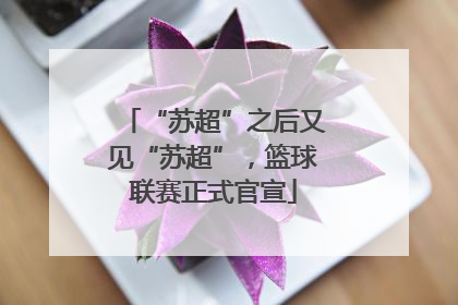 “苏超”之后又见“苏超”，篮球联赛正式官宣
