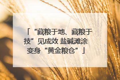 “藏粮于地、藏粮于技”见成效 盐碱滩涂变身“黄金粮仓”