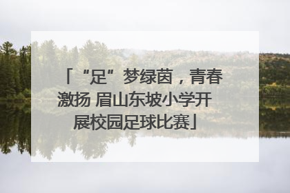 “足”梦绿茵，青春激扬 眉山东坡小学开展校园足球比赛