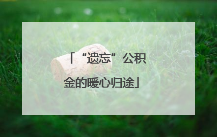 “遗忘”公积金的暖心归途