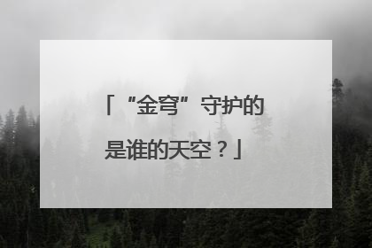 “金穹”守护的是谁的天空？
