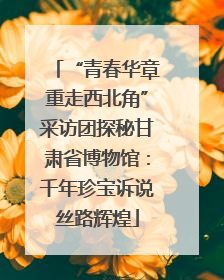 “青春华章重走西北角”采访团探秘甘肃省博物馆：千年珍宝诉说丝路辉煌