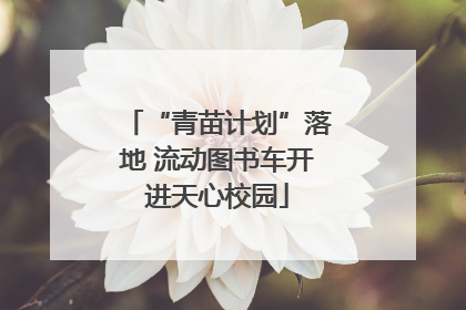 “青苗计划”落地 流动图书车开进天心校园