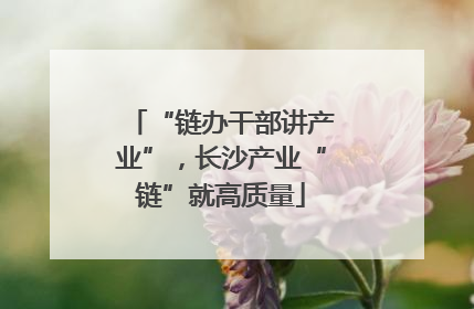 “链办干部讲产业”，长沙产业“链”就高质量