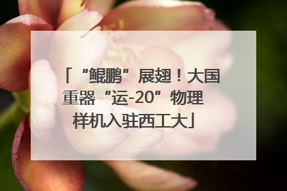 “鲲鹏”展翅！大国重器“运-20”物理样机入驻西工大