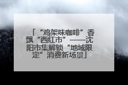 “鸡架味咖啡”香飘“西红市”——沈阳市集解锁“地域限定”消费新场景