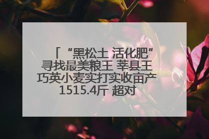 “黑松土 活化肥”寻找最美粮王 莘县王巧英小麦实打实收亩产1515.4斤 超对照田144斤！