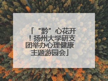 “黔”心花开！扬州大学研支团举办心理健康主题游园会