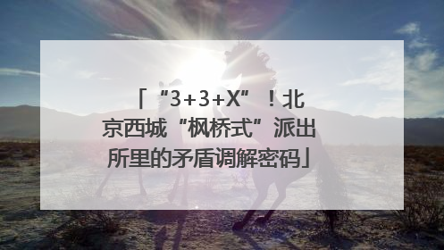 “3+3+X”！北京西城“枫桥式”派出所里的矛盾调解密码