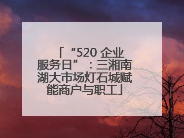 “520 企业服务日”：三湘南湖大市场灯石城赋能商户与职工