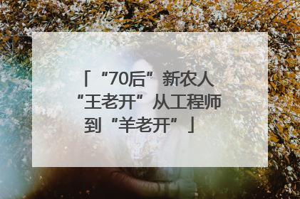 “70后”新农人“王老开”从工程师到“羊老开”