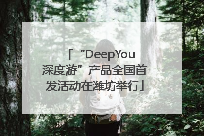 “DeepYou深度游”产品全国首发活动在潍坊举行