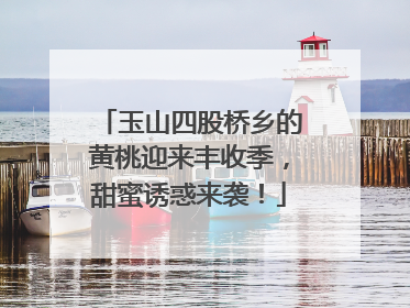 玉山四股桥乡的黄桃迎来丰收季，甜蜜诱惑来袭！