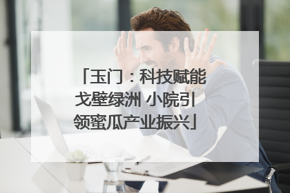 玉门：科技赋能戈壁绿洲 小院引领蜜瓜产业振兴