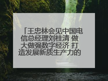 王忠林会见中国电信总经理刘桂清 做大做强数字经济 打造发展新质生产力的强劲引擎